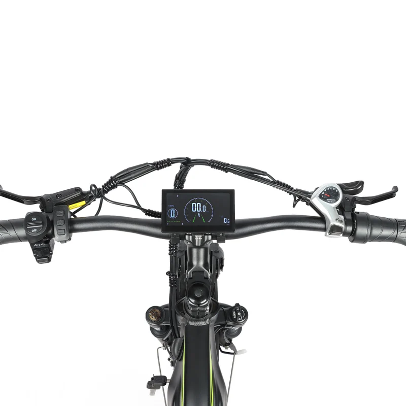 BAOLUJIE P6 2401 24" Mountain E-Bike 2000W Motor 48V 20Ah Battery