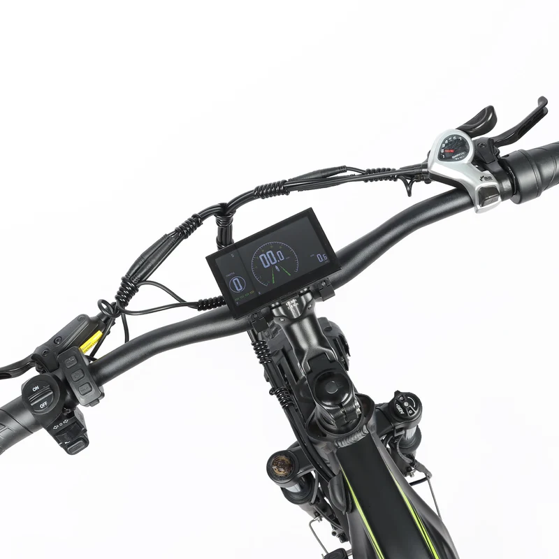 BAOLUJIE P6 2401 24" Mountain E-Bike 2000W Motor 48V 20Ah Battery