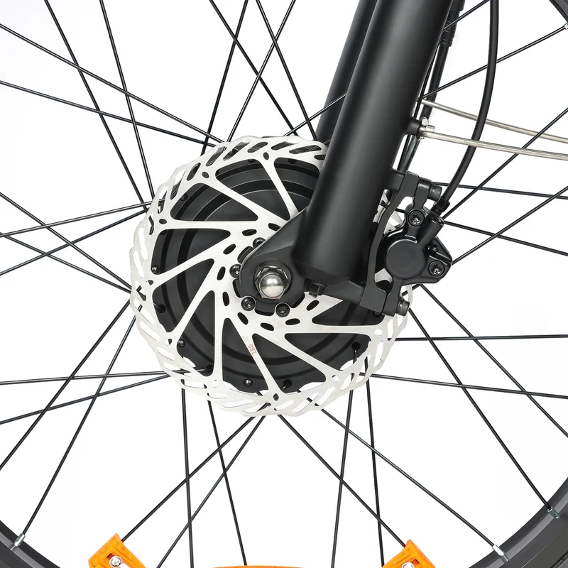 BAOLUJIE P6 2401 24" Mountain E-Bike 2000W Motor 48V 20Ah Battery