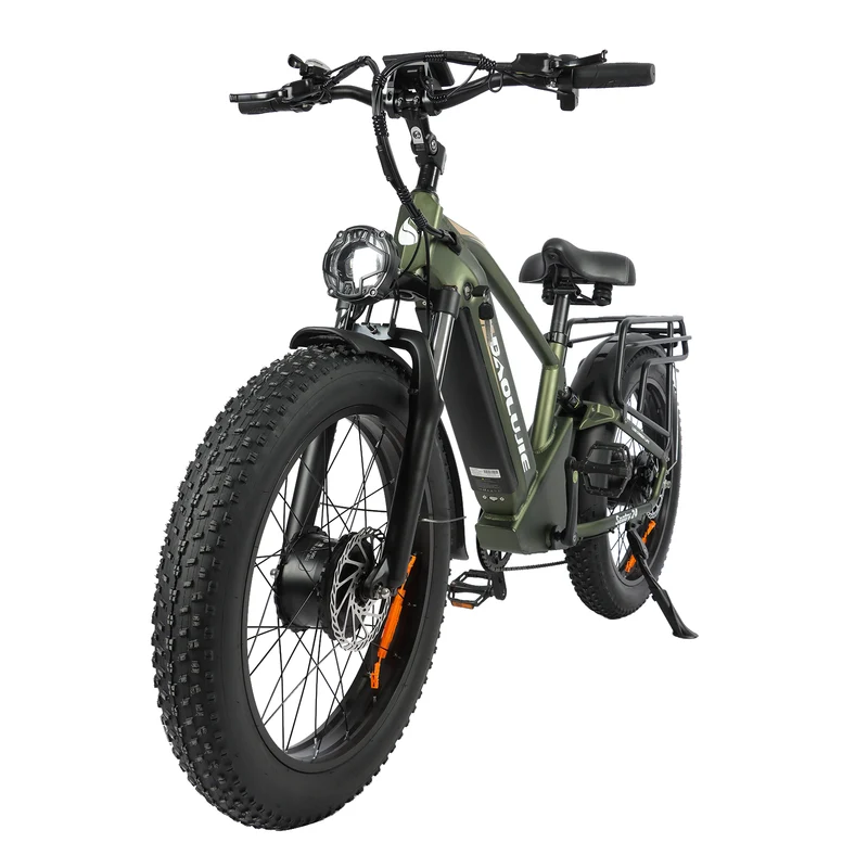 BAOLUJIE P6 2401 24" Mountain E-Bike 2000W Motor 48V 20Ah Battery