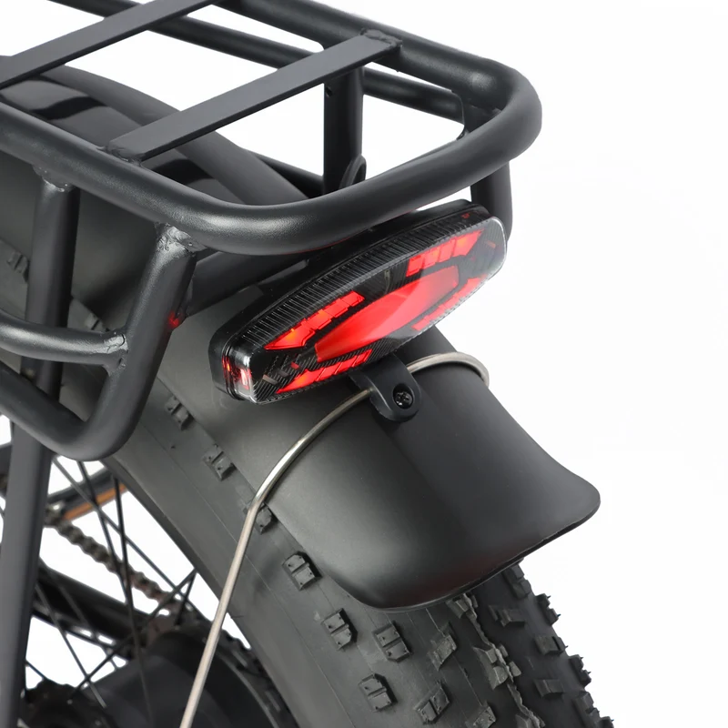 BAOLUJIE P6 2401 24" Mountain E-Bike 2000W Motor 48V 20Ah Battery