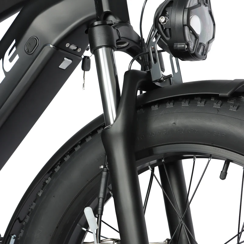 BAOLUJIE P6 2401 24" Mountain E-Bike 2000W Motor 48V 20Ah Battery