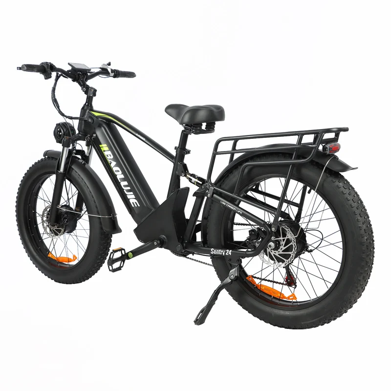BAOLUJIE P6 2401 24" Mountain E-Bike 2000W Motor 48V 20Ah Battery