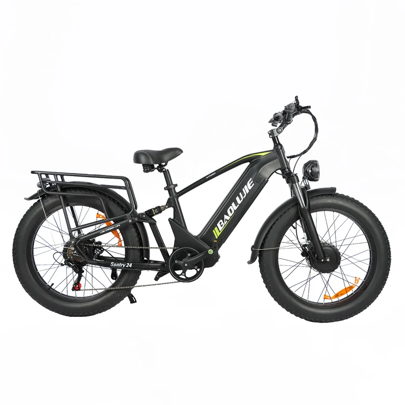 BAOLUJIE P6 2401 24" Mountain E-Bike 2000W Motor 48V 20Ah Battery