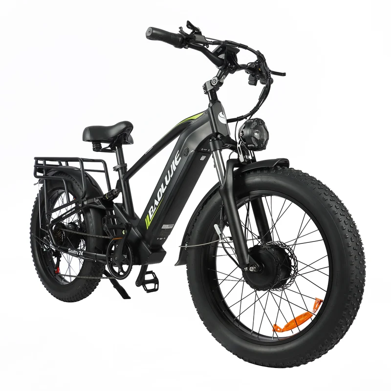 BAOLUJIE P6 2401 24" Mountain E-Bike 2000W Motor 48V 20Ah Battery