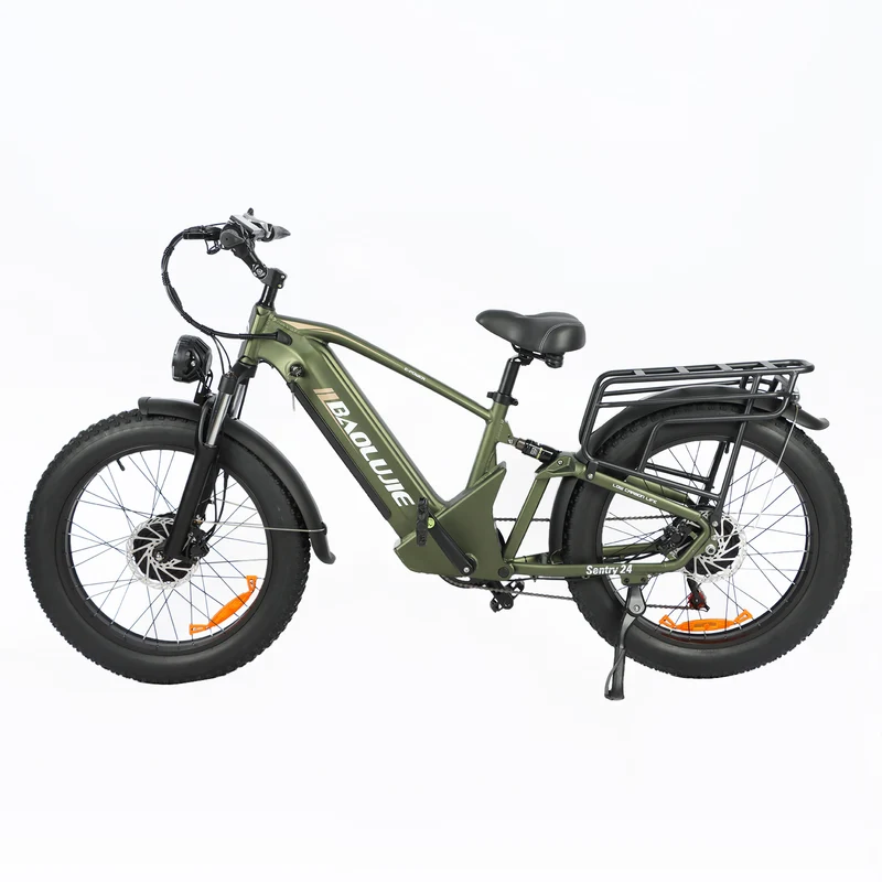 BAOLUJIE P6 2401 24" Mountain E-Bike 2000W Motor 48V 20Ah Battery