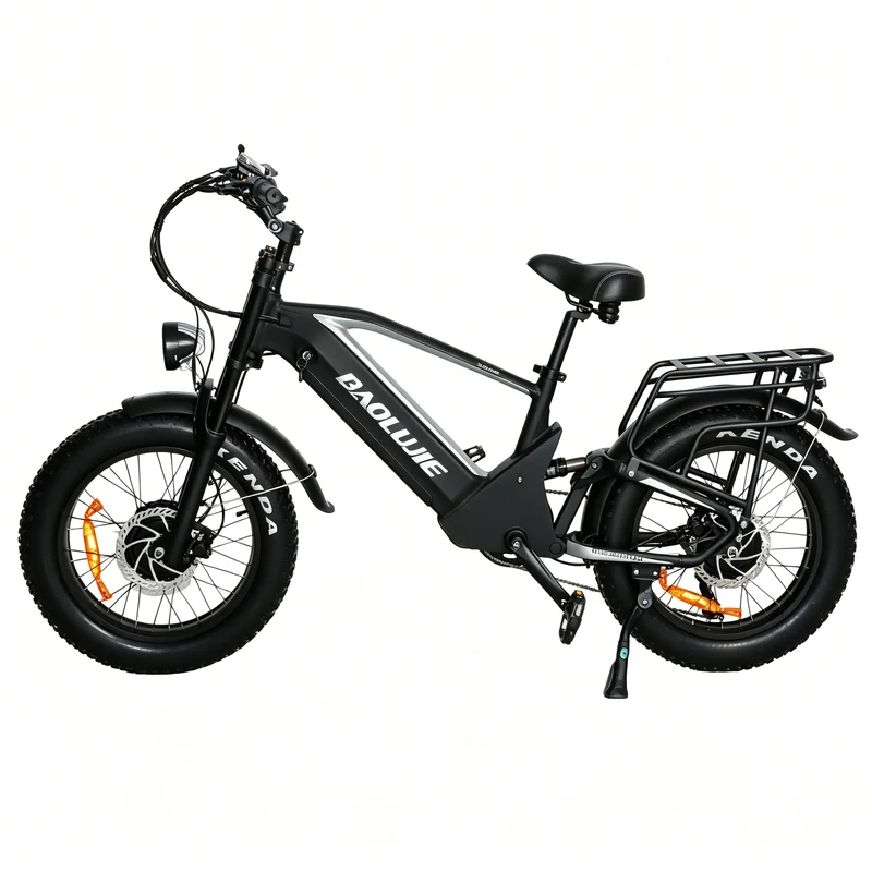 BAOLUJIE P4 DP 2011 24" Mountain E-Bike 2000W Motor 48V 20Ah Battery