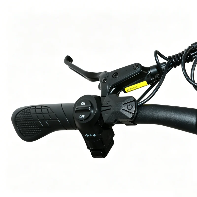 BAOLUJIE P4 DP 2011 24" Mountain E-Bike 2000W Motor 48V 20Ah Battery