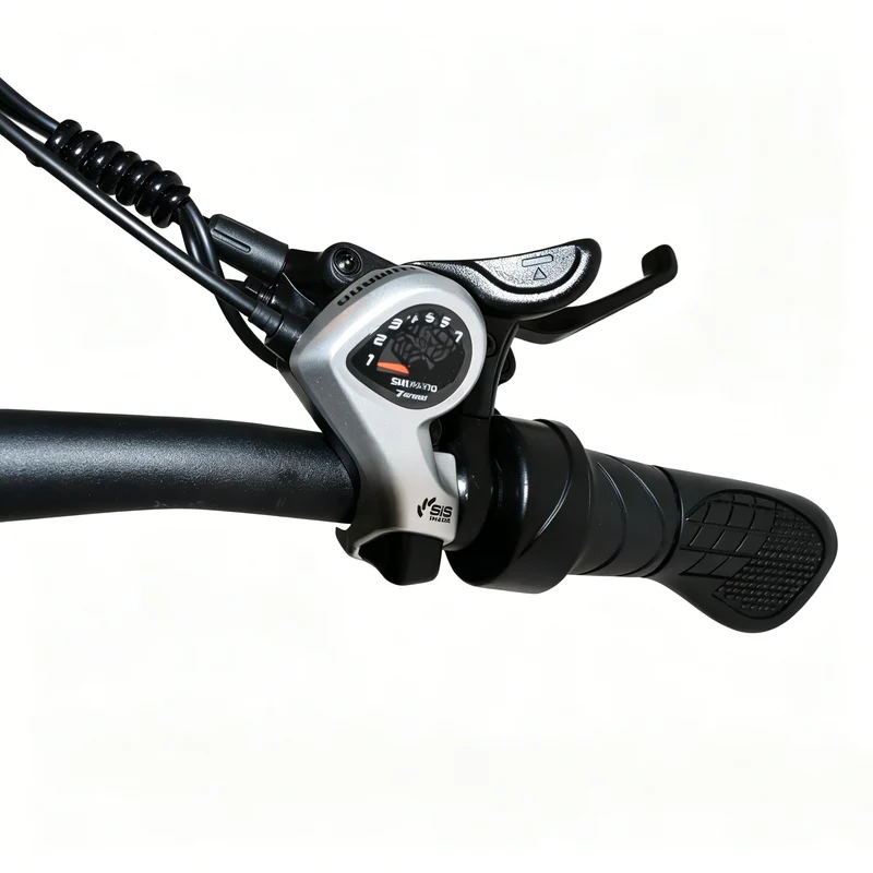 BAOLUJIE P4 DP 2011 24" Mountain E-Bike 2000W Motor 48V 20Ah Battery