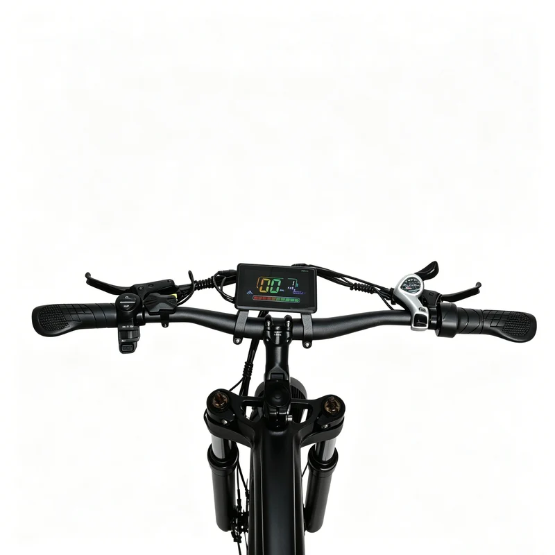 BAOLUJIE P4 DP 2011 24" Mountain E-Bike 2000W Motor 48V 20Ah Battery