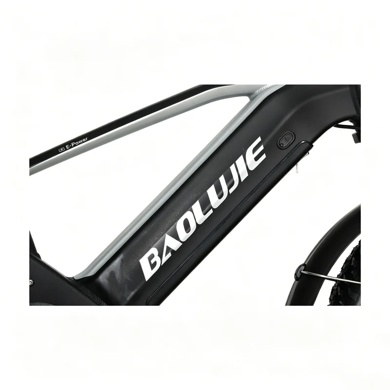 BAOLUJIE P4 DP 2011 24" Mountain E-Bike 2000W Motor 48V 20Ah Battery