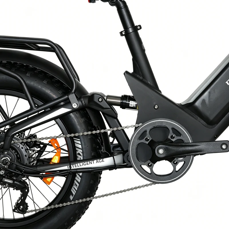 BAOLUJIE P4 DP 2011 24" Mountain E-Bike 2000W Motor 48V 20Ah Battery