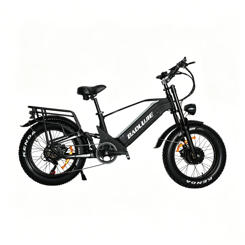 BAOLUJIE P4 DP 2011 24" Mountain E-Bike 2000W Motor 48V 20Ah Battery