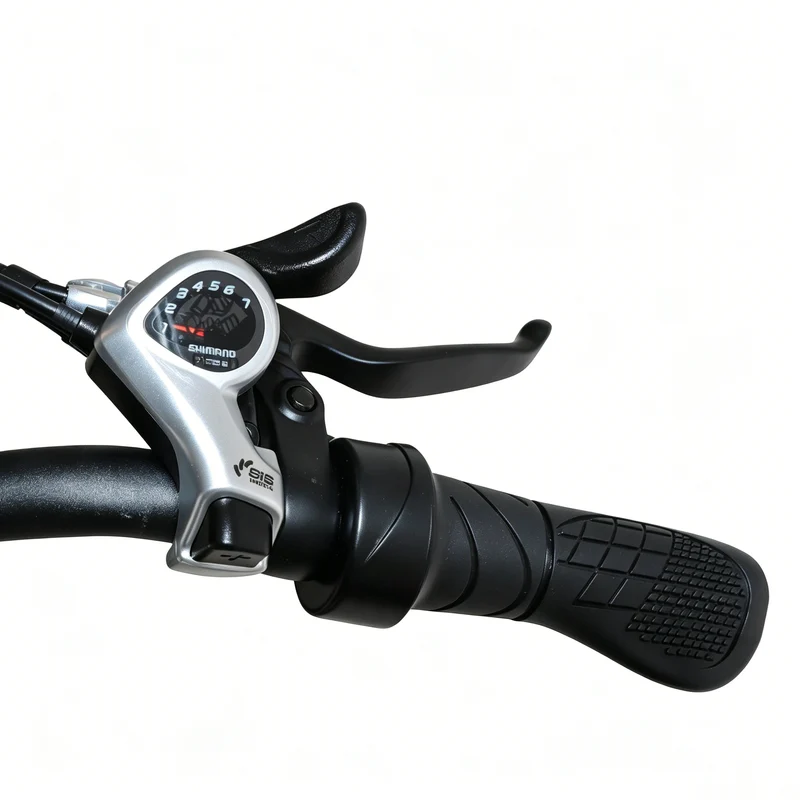 BAOLUJIE BLJ D7 20" Folding E-Bike 500W Motor 48V 12Ah Battery