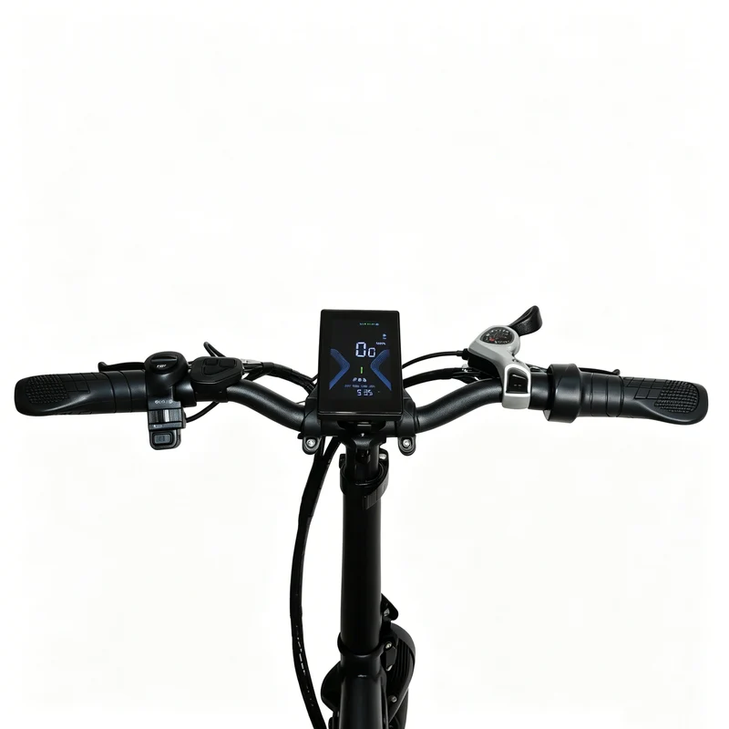 BAOLUJIE BLJ D7 20" Folding E-Bike 500W Motor 48V 12Ah Battery