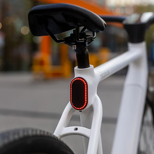 TEZEUS C8 38C" City E-Bike 250W Motor 36V 10Ah Battery