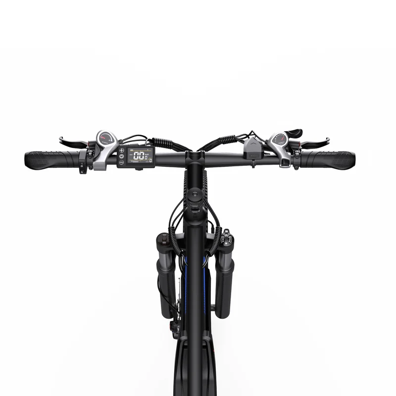 DUOTTS C29-L 29" Mountain Electric Bike 750W Motor 48V 15Ah Battery