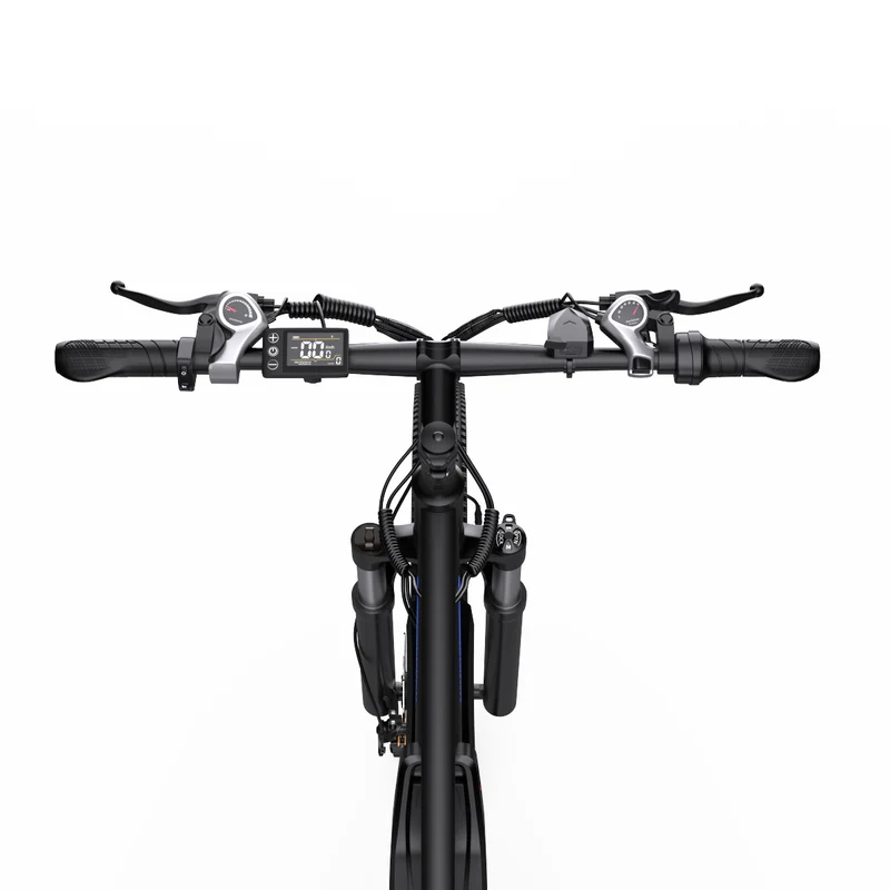 DUOTTS C29 29" Mountain E-Bike 750W Motor 48V 15Ah Battery