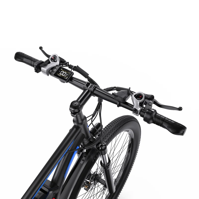 DUOTTS C29 29" Mountain E-Bike 750W Motor 48V 15Ah Battery