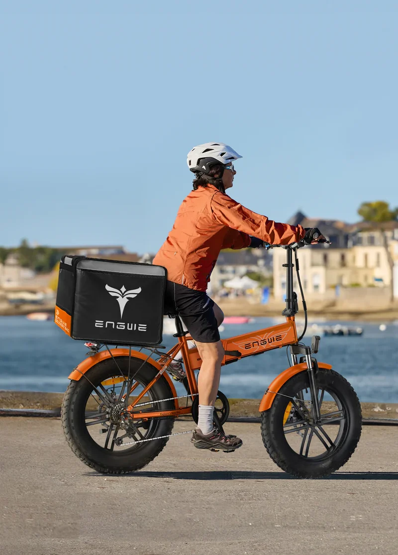 ENGWE EP-2 Boost | Bicicletta Elettrica | Versatile | Motore 250W | 48V 13Ah | Sensore di coppia | 25km/h | Autonomia 120Km| GARANZIA ITALIANA