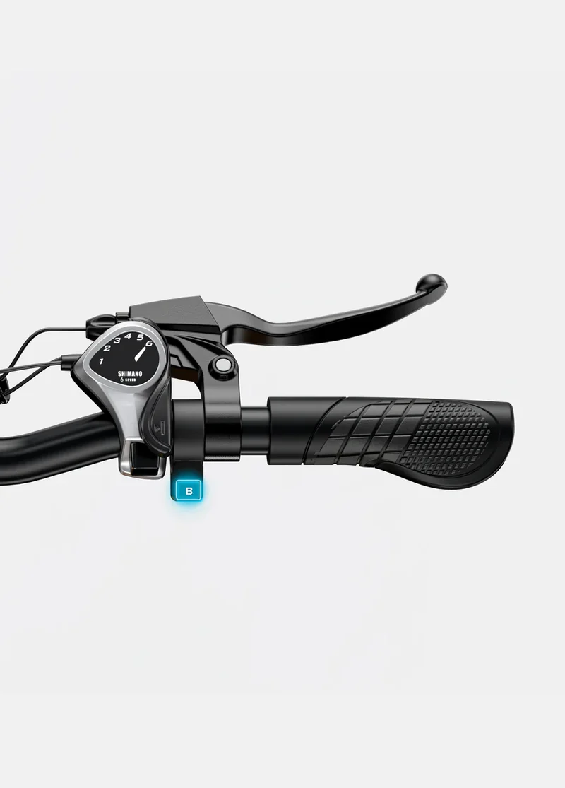 ENGWE EP-2 Boost | Bicicletta Elettrica | Versatile | Motore 250W | 48V 13Ah | Sensore di coppia | 25km/h | Autonomia 120Km| GARANZIA ITALIANA
