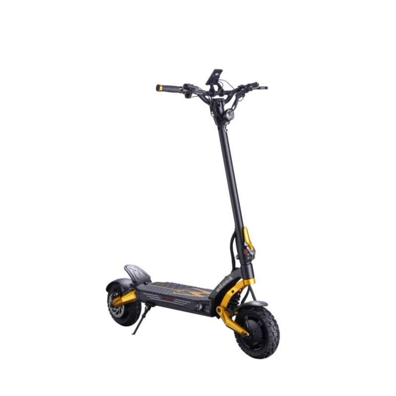 KAABO MANTIS 10 GT PRO | GT KING1 Monopattino elettrico