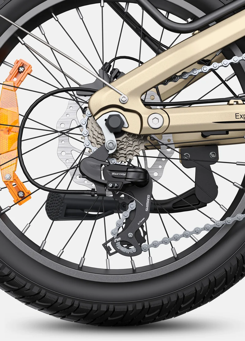 ENGWE L20 3.0 Pro | Bicicletta Elettrica | Motore Centrale 250W | Sensore di coppia | Certificata TÜV | GARANZIA ITALIANA e 100% A NORMA