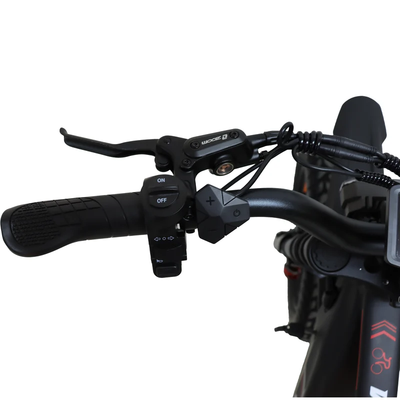 VOLTVIBE M2 20" Off-Road E-Bike 2000W Motor 60V 25Ah Battery