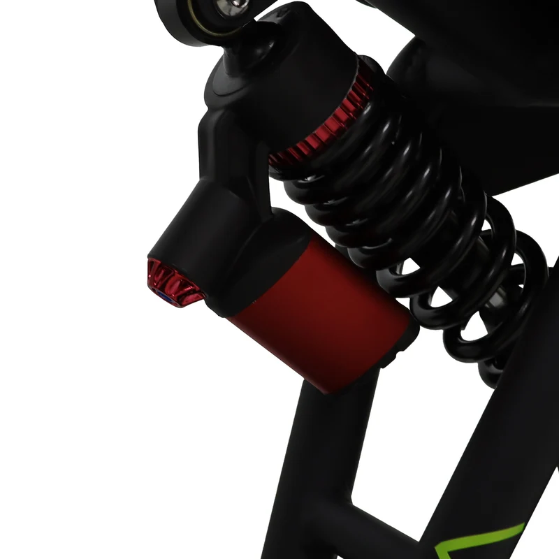 VOLTVIBE M2 20" Off-Road E-Bike 2000W Motor 60V 25Ah Battery
