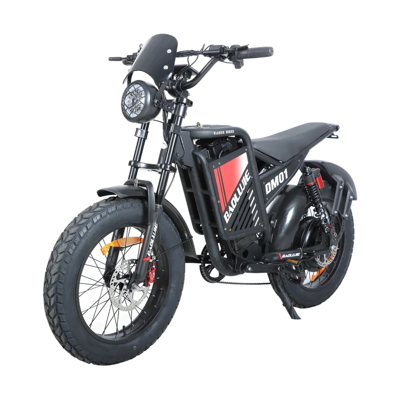 BAOLUJIE DM01 20" Off-Road E-Bike 2000W Motor 60V 30Ah Battery