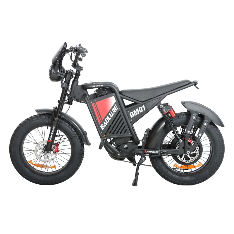 BAOLUJIE DM01 20" Off-Road E-Bike 2000W Motor 60V 30Ah Battery