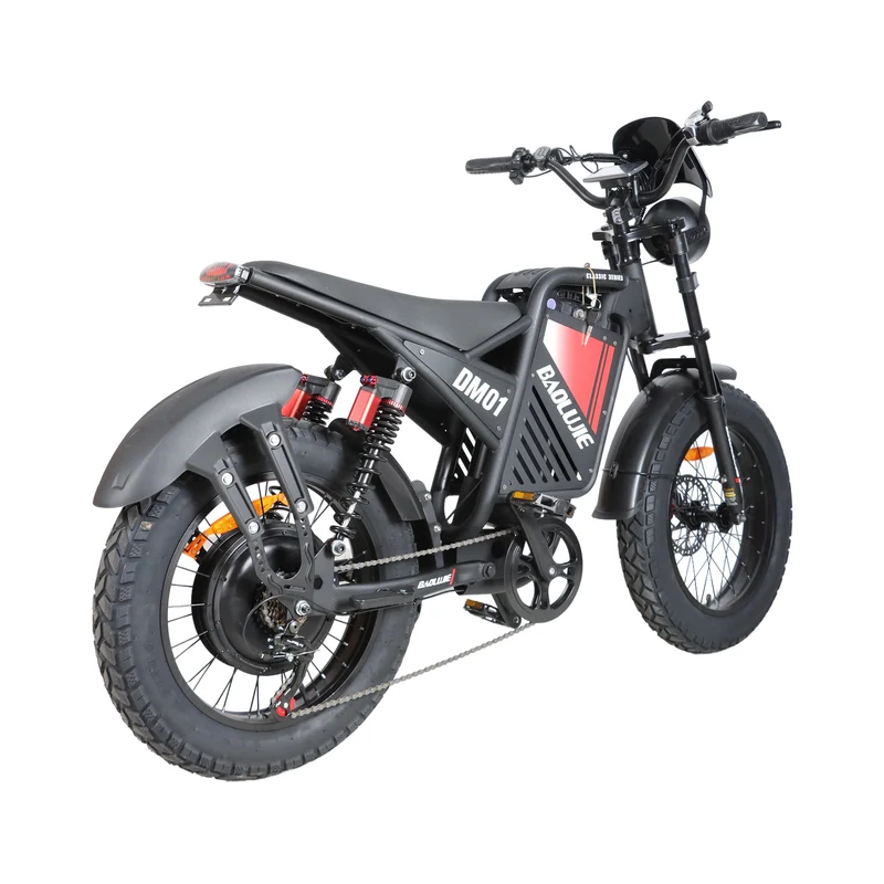 BAOLUJIE DM01 20" Off-Road E-Bike 2000W Motor 60V 30Ah Battery
