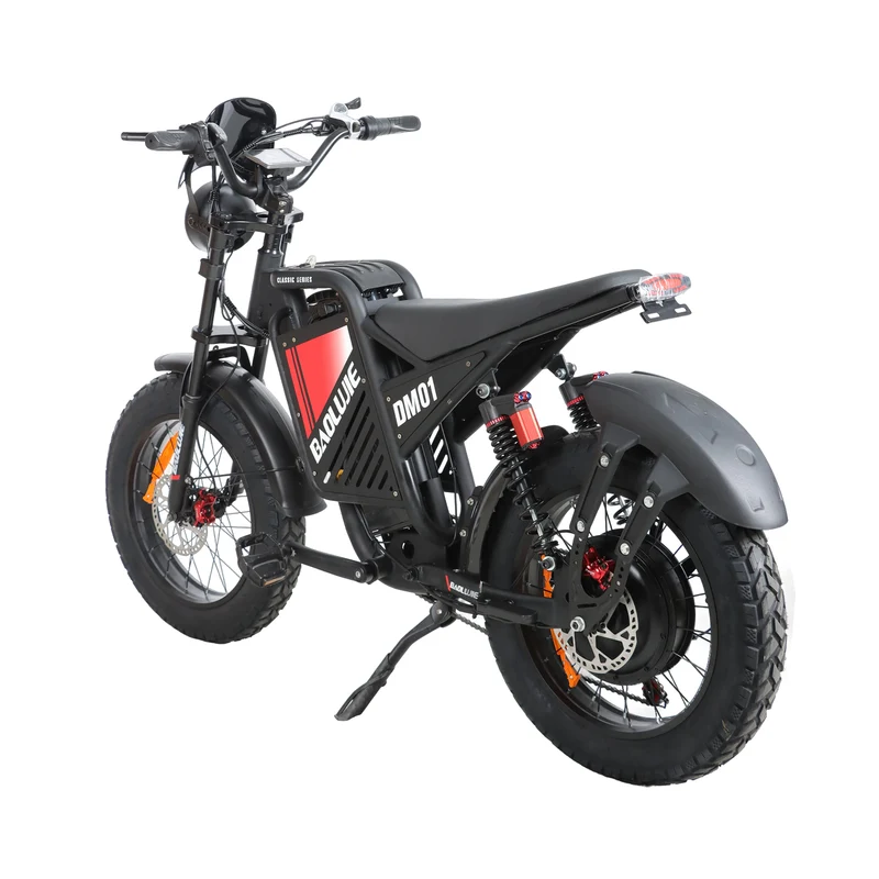 BAOLUJIE DM01 20" Off-Road E-Bike 2000W Motor 60V 30Ah Battery