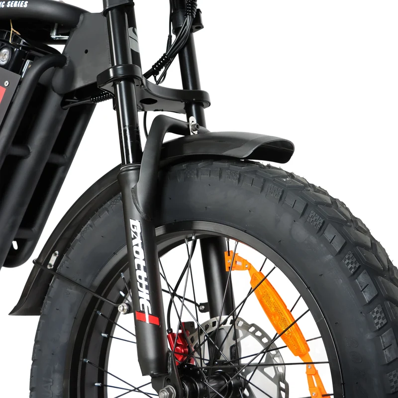 BAOLUJIE DM01 20" Off-Road E-Bike 2000W Motor 60V 30Ah Battery