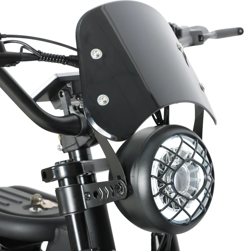 BAOLUJIE DM01 20" Off-Road E-Bike 2000W Motor 60V 30Ah Battery