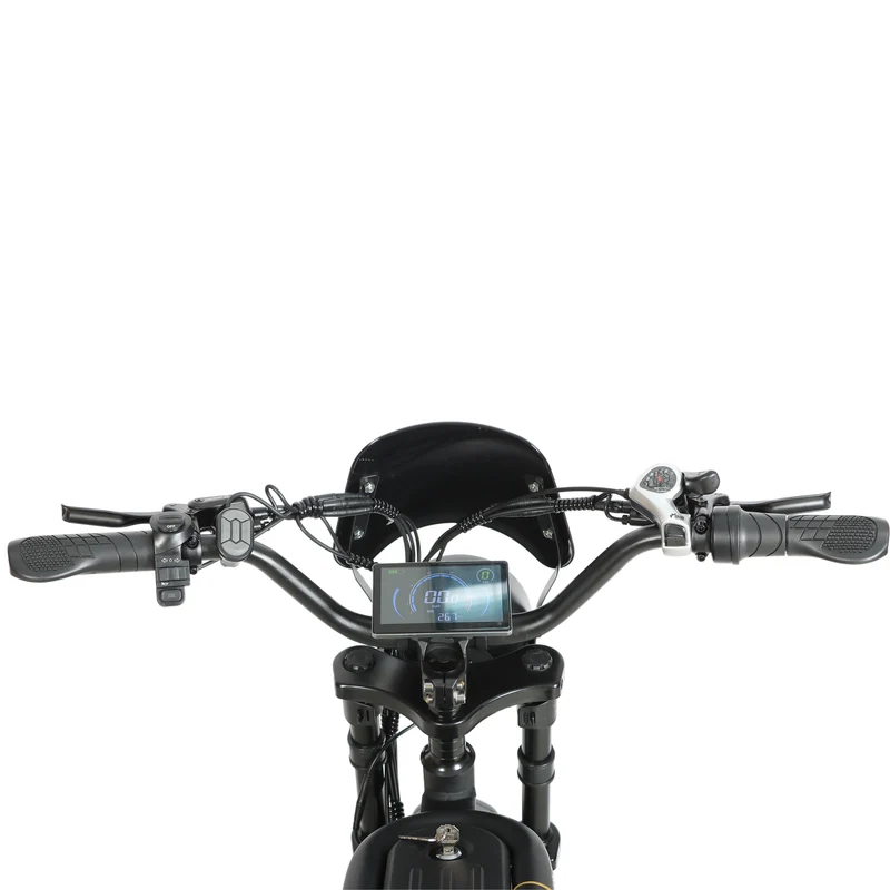 BAOLUJIE DM01 20" Off-Road E-Bike 2000W Motor 60V 30Ah Battery