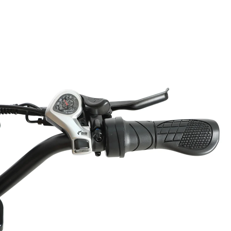 BAOLUJIE DM01 20" Off-Road E-Bike 2000W Motor 60V 30Ah Battery