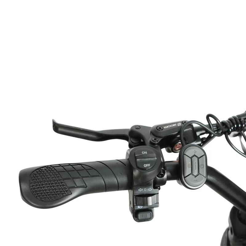 BAOLUJIE DM01 20" Off-Road E-Bike 2000W Motor 60V 30Ah Battery