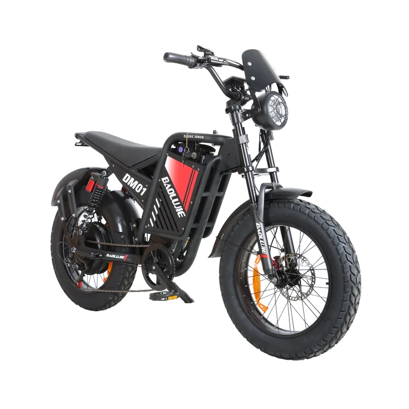 BAOLUJIE DM01 20" Off-Road E-Bike 2000W Motor 60V 30Ah Battery