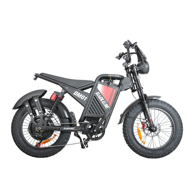 BAOLUJIE DM01 20" Off-Road E-Bike 2000W Motor 60V 30Ah Battery