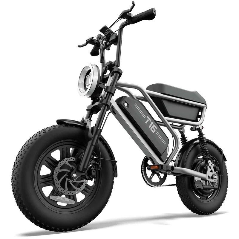 URLIFE T16 16" Off-Road E-Bike 250W Motor 48V 13Ah Battery