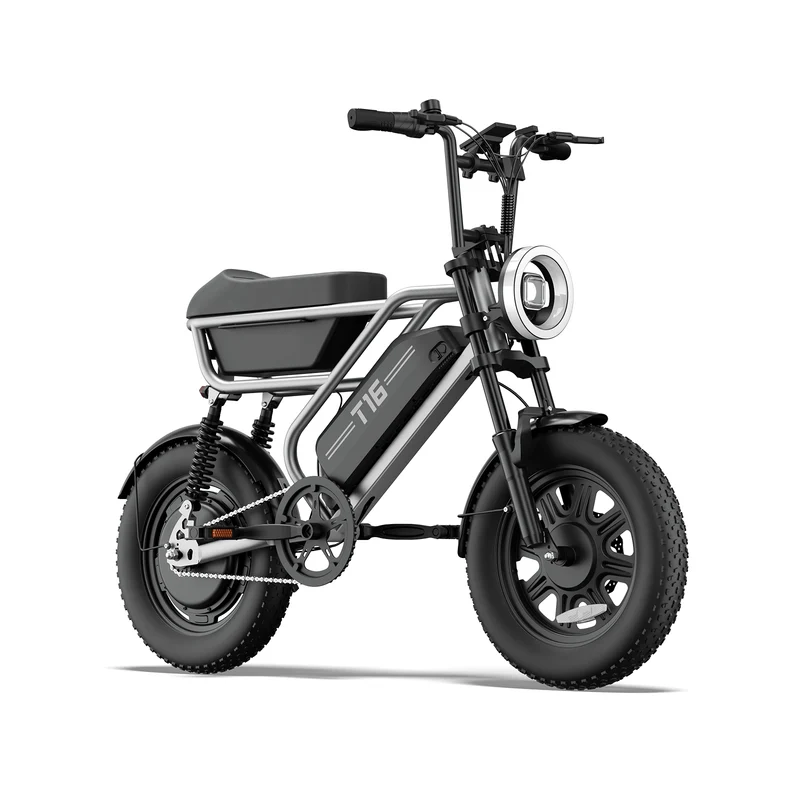 URLIFE T16 16" Off-Road E-Bike 250W Motor 48V 13Ah Battery