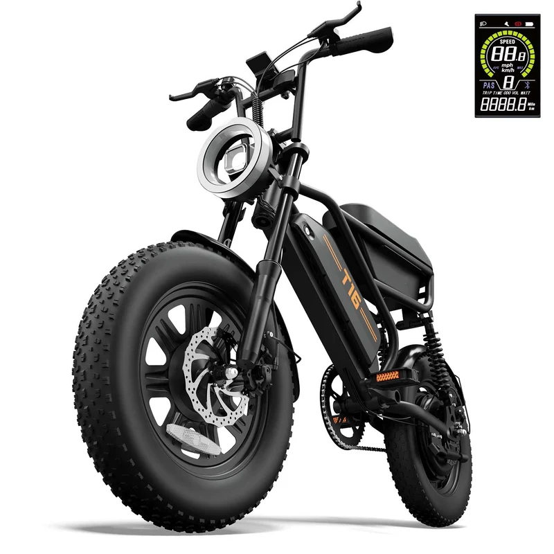URLIFE T16 16" Off-Road E-Bike 250W Motor 48V 13Ah Battery