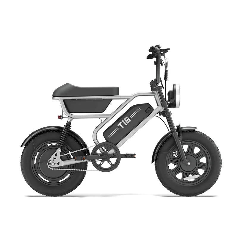 URLIFE T16 16" Off-Road E-Bike 250W Motor 48V 13Ah Battery