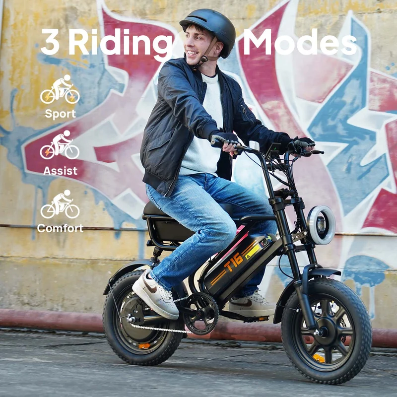 URLIFE T16 16" Off-Road E-Bike 250W Motor 48V 13Ah Battery
