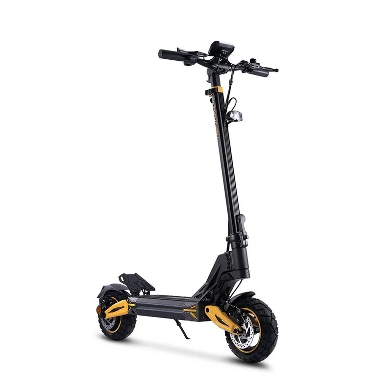 TWOFISH V2 MAX 10" Off-Road E-Scooter 800W Motor 48V 17Ah Battery