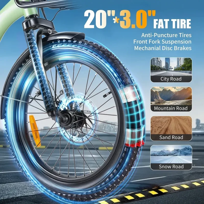 TWOFISH TF2 20" Folding Electric Bike 250W Motor 36V 17.8Ah Battery