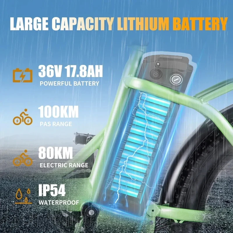 TWOFISH TF2 20" Folding Electric Bike 250W Motor 36V 17.8Ah Battery