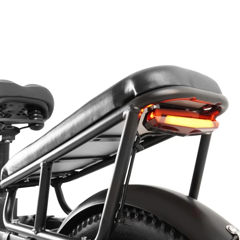 COSWHEEL HQ20 20" Cargo Electric Bike 1300W Peak Motor 48V 19.2Ah Battery