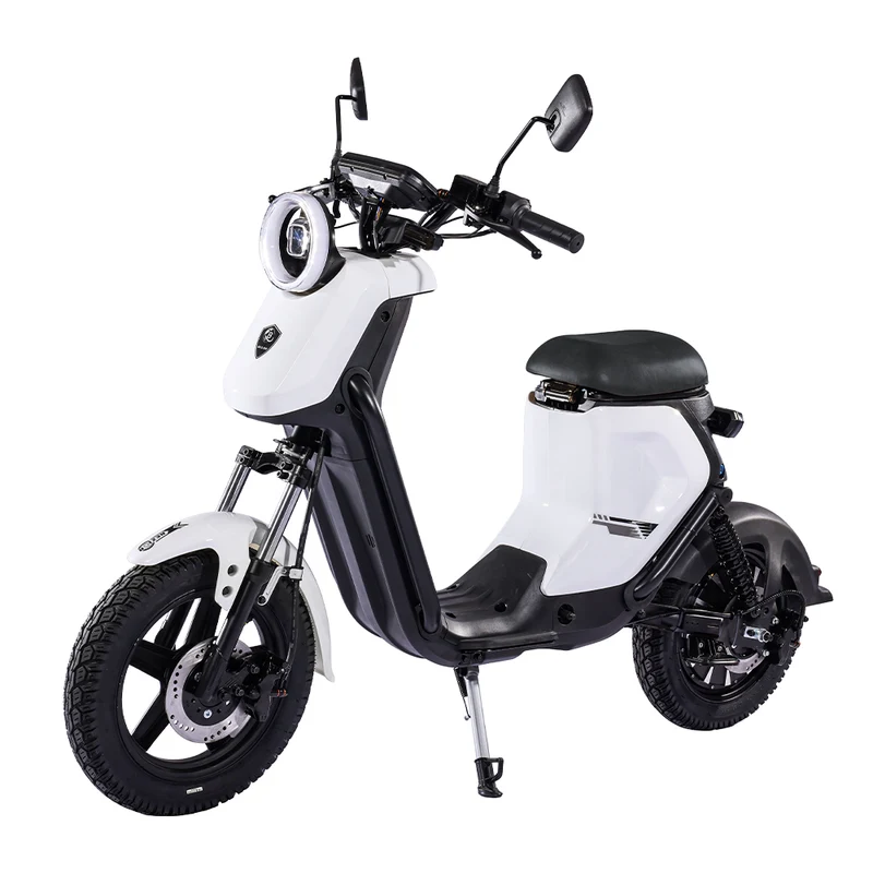 BEZIOR XIAONIU B 20" Off-Road Electric Bike 1500W Motor 48V 20Ah Battery